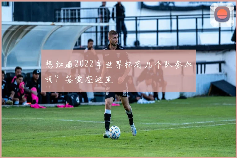 想知道2022年世界杯有几个队参加吗？答案在这里