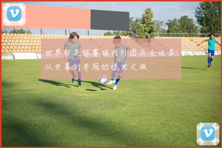 世界杯足球赛场内外图片全记录：从开幕到夺冠的视觉之旅