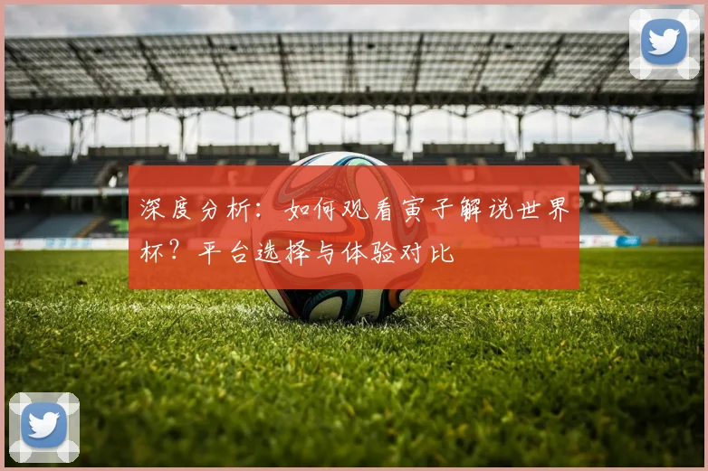 深度分析：如何观看寅子解说世界杯？平台选择与体验对比