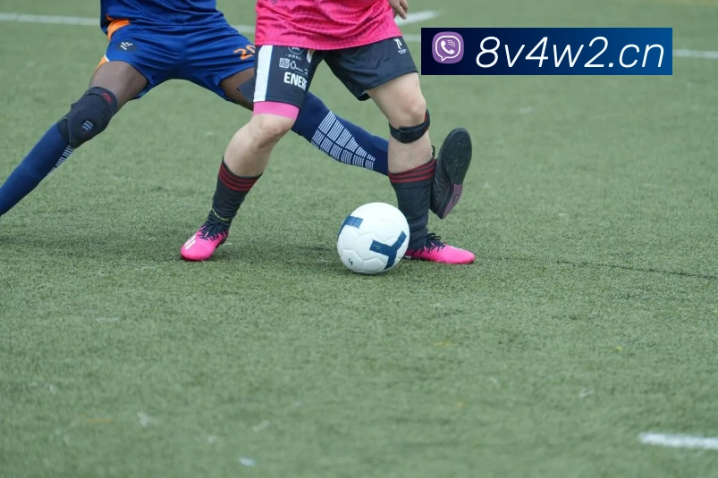 乐鱼在线官网登录入口APP 高清赛事图